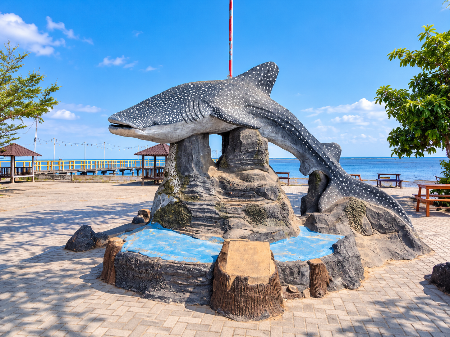 Whale shark destination